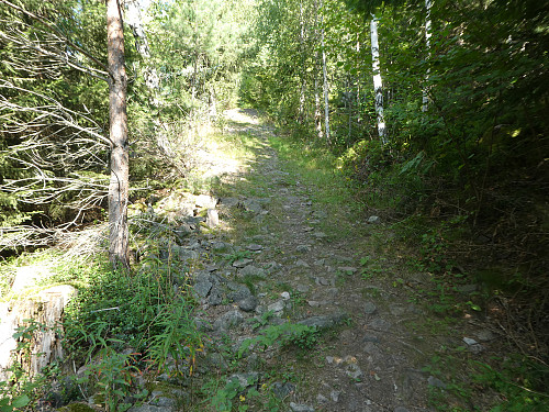 Veien oppover
