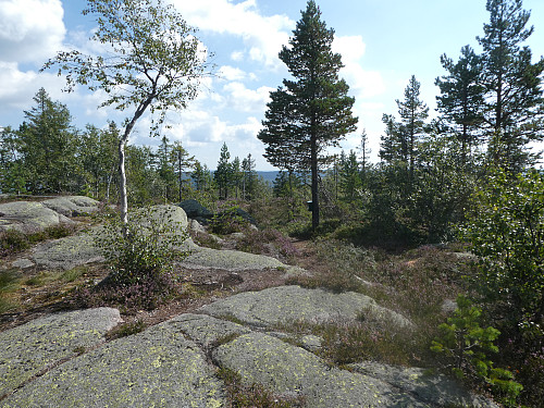 Fint på toppen der.