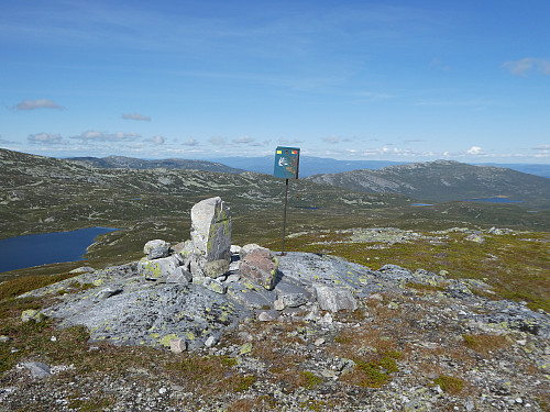 Blomtjønneggin.