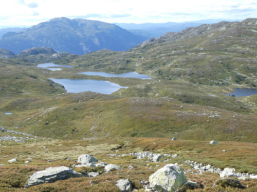 Frigåing fra blomtjønneggin. Flott terreng å gå i.