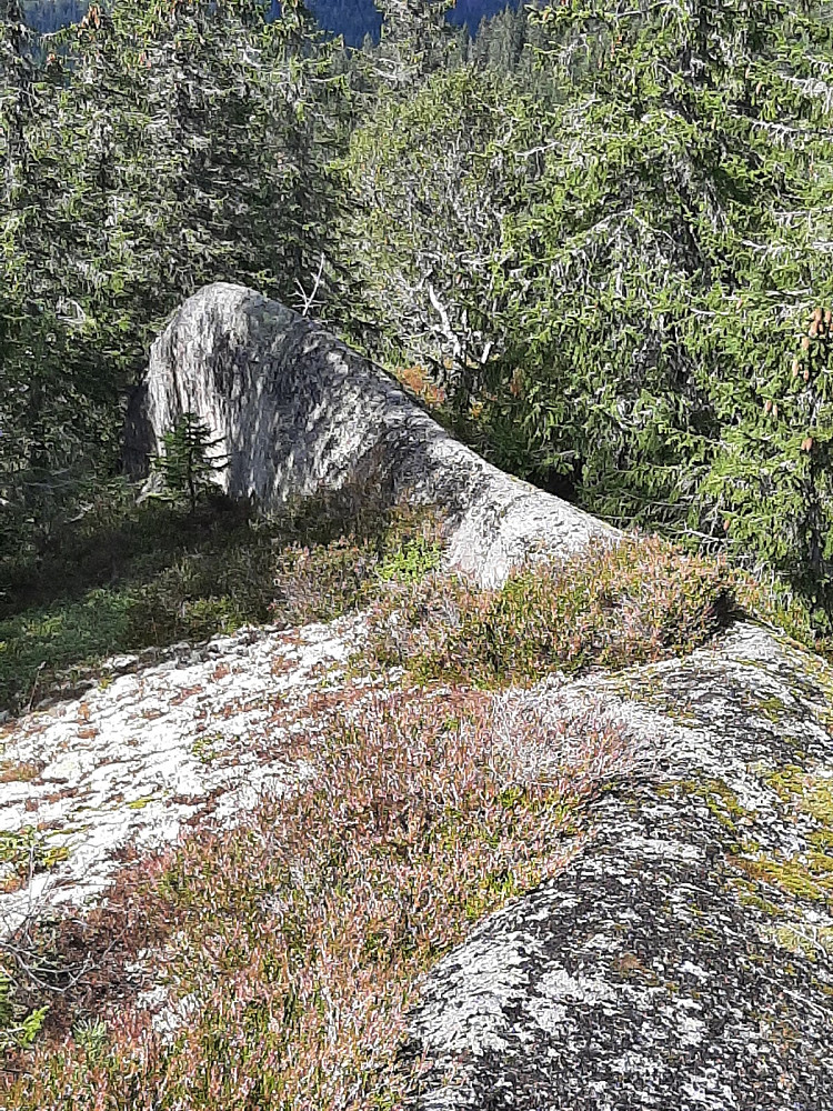 Besseggen.