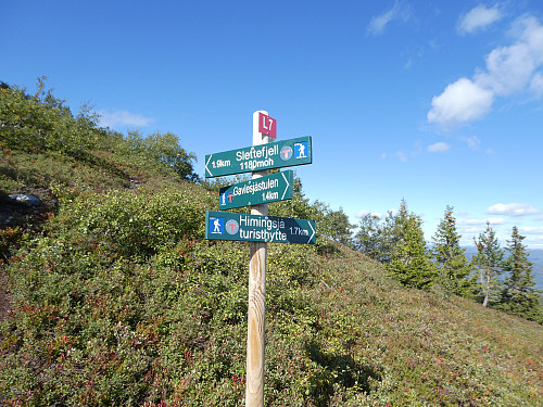 Slettefjell nærmer seg, men akk, det er bratt og langt igjen.