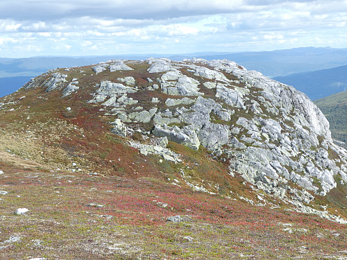Tok med meg denne toppen også (Slettefjell øst).