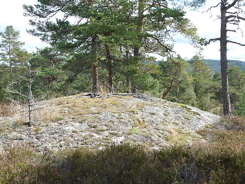 Kom opp opp denne toppen til venstre for hovedtoppen. Fin utsikt her. Gikk deretter bort til Store Nipen.