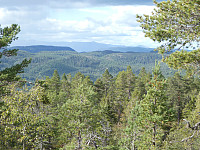 Bamse_20200906_5f5478973eda4.jpg