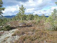 Bamse_20200906_5f5478ae0cff5.jpg