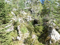 Bamse_20200906_5f5478da4653c.jpg