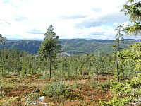 Bamse_20200906_5f5478f143a46.jpg