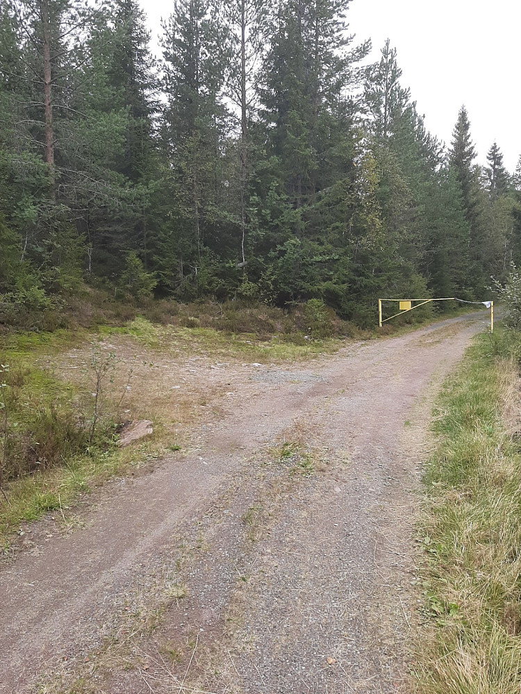 Stien går inn til venstre her. Jeg parkerte ca 100 meter før bommen.