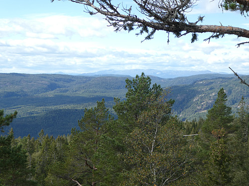 Utsikten