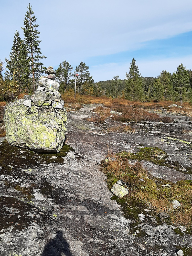 Mye sva innover bare en kom litt opp i høyden.