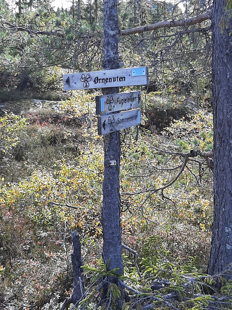Her tar stien av mot toppen. God sti mot toppen.