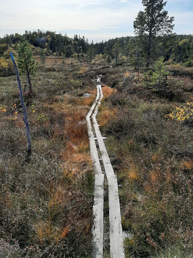 På myrer og utsatte våte plasser var det lagt ut gangbaner av treverk.