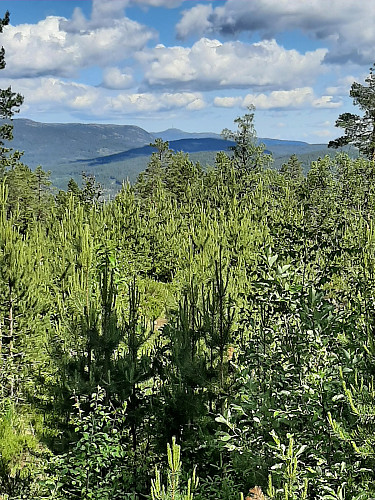 Utsikt mot Gaustatoppen