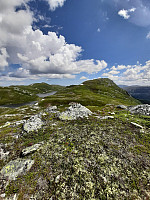 Bamse_20210626_60d73b051a109.jpg