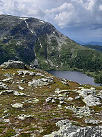 Bamse_20210626_60d73b05b4246.jpg