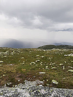 Bamse_20210626_60d73b077809e.jpg