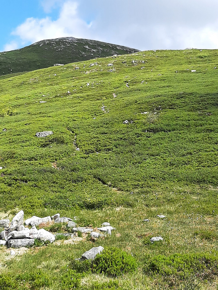 Fortsatte videre fra Blåtjønn opp her. Blåtjønnfjellet i bakgrunnen.