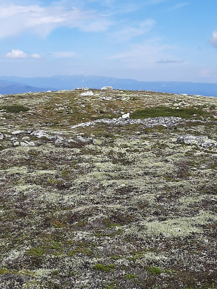 På toppen av Blåtjønnfjellet NV.