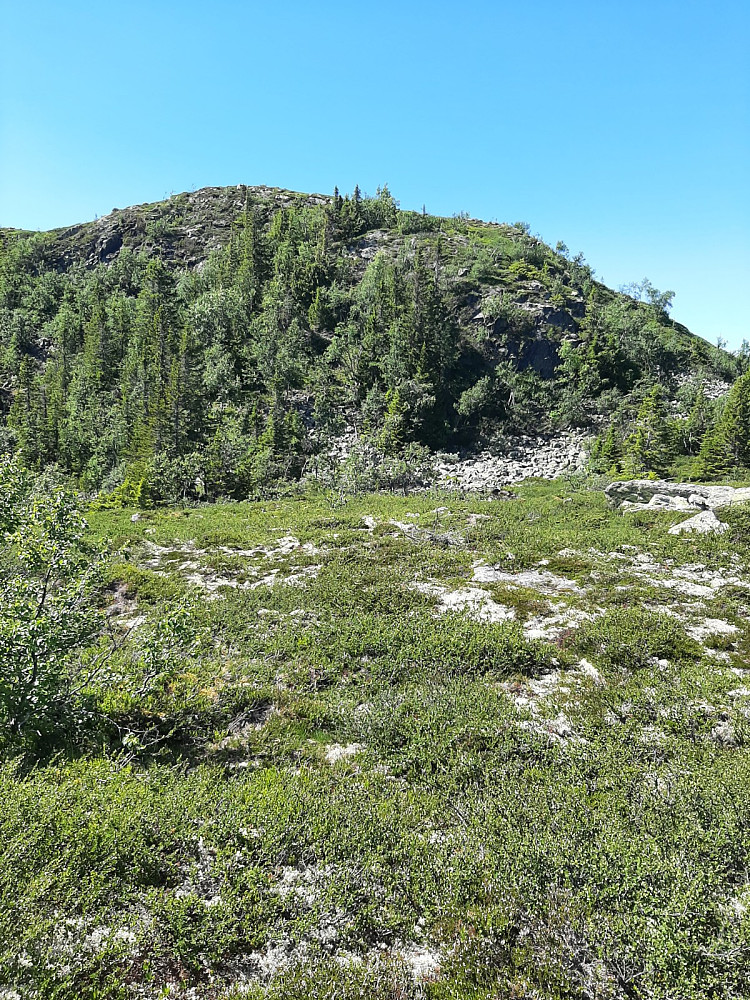Skipsfjellet i sikte. Her fulgte fin sti helt til toppen.