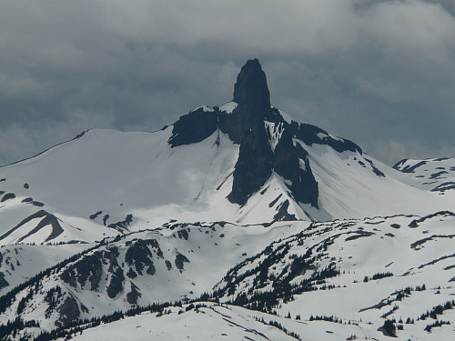 Black Tusk