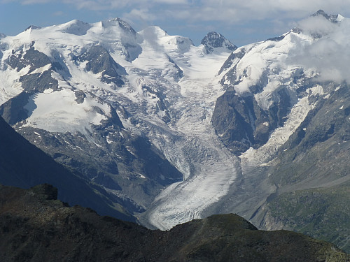 Piz Palü - Piz Bernina - rekka fra Piz Languard