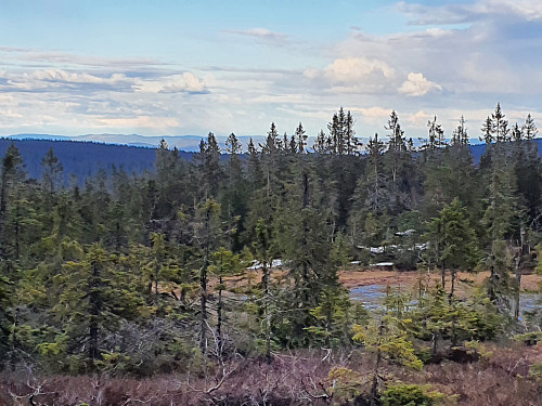 Finnskogmagi i synsranda. Fra returen til Årkjølen-tårnet.