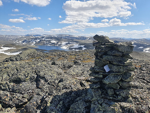Kljåkinnknippa, høgeste