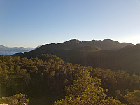 arnerg_20180709_5b43caea45d67.jpg