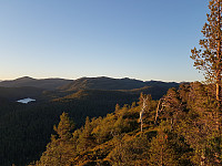 arnerg_20180709_5b43caeb6078f.jpg