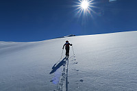 knutio_20160428_572264d1b6b4f.jpg