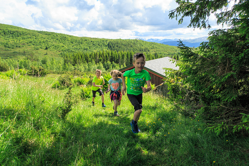 Fremtidens fjellspringere?