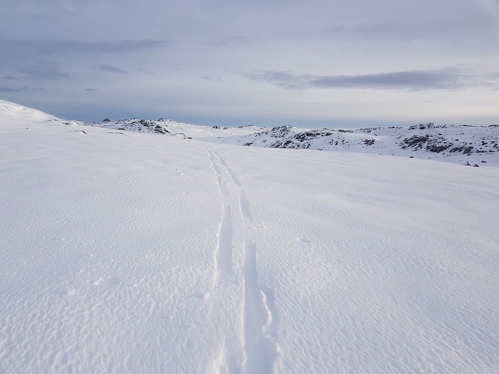 Overaskende fint over 1200 moh