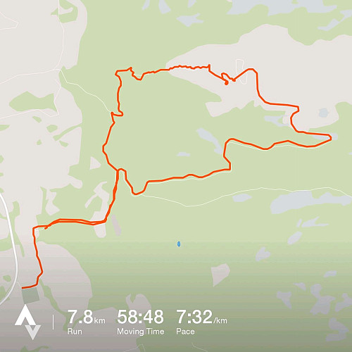 Strava logg