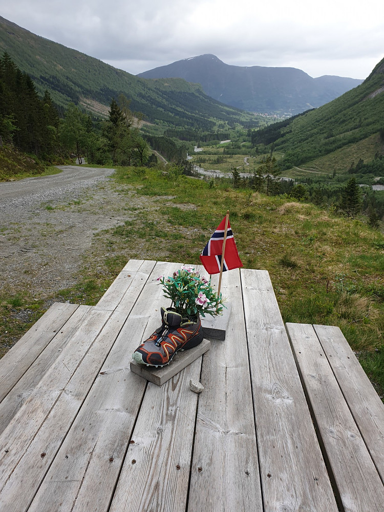 Gror godt i sure fjellsko