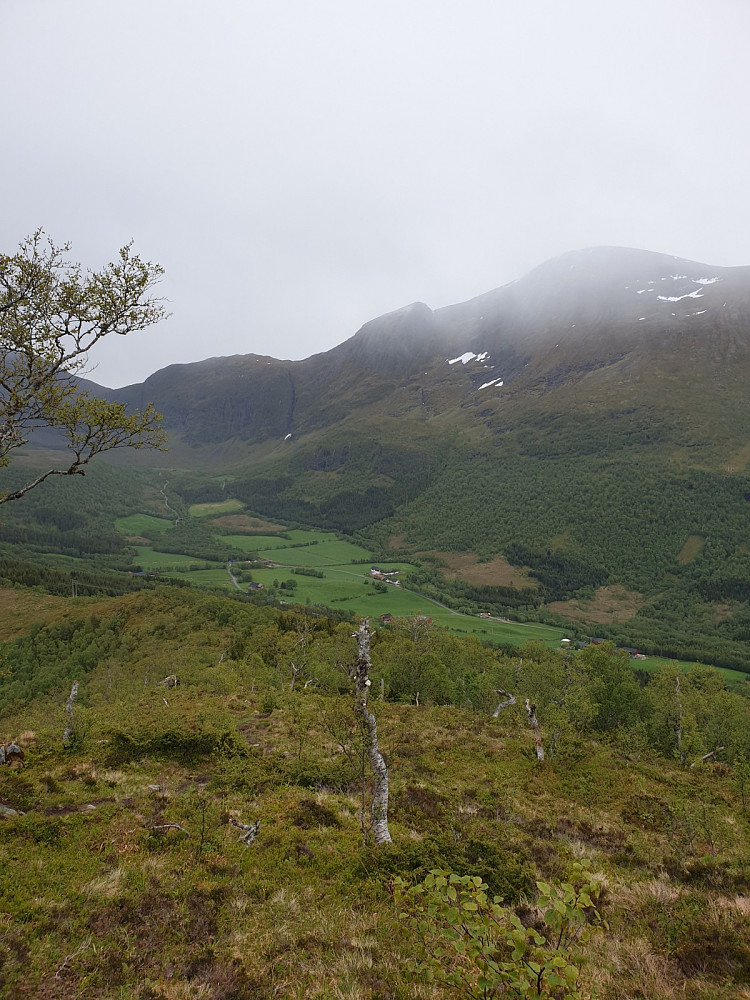 Rødalen