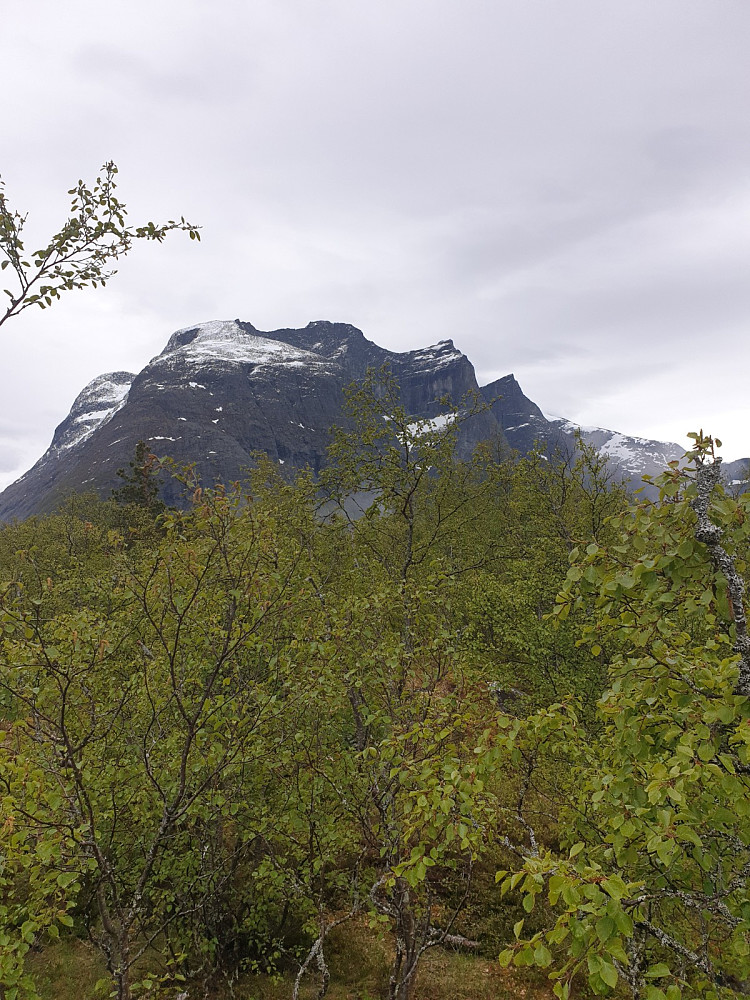 Utsikt fra Vassdalshaugan