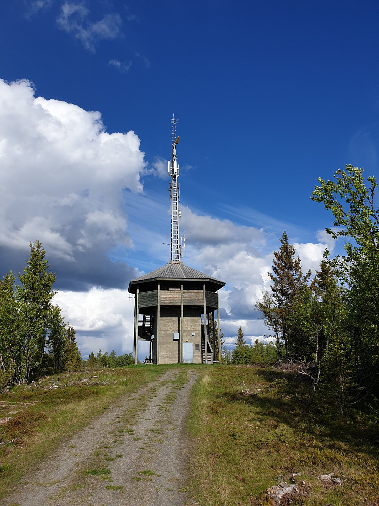 Utsiktshøgda