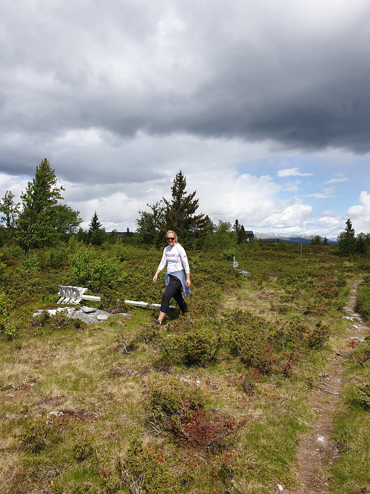 Isumhøgda