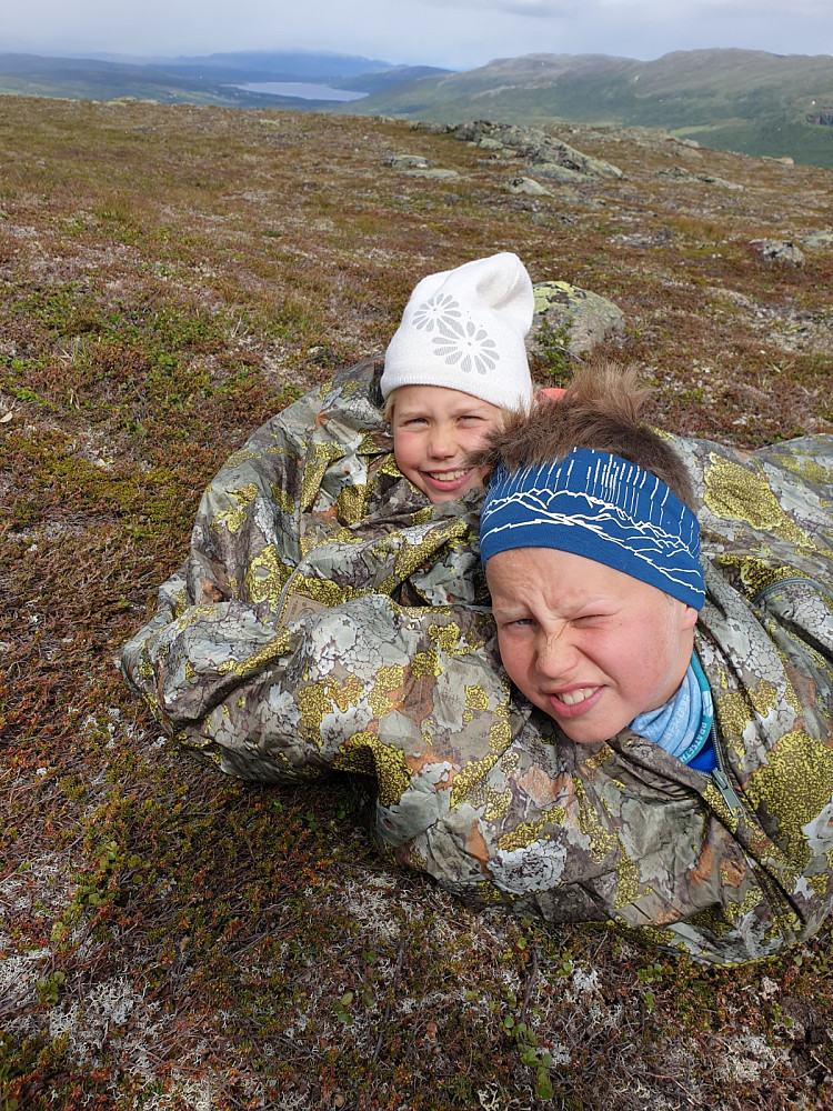 Hustrig 2.juli. Snøbyger i fjella og sur vind