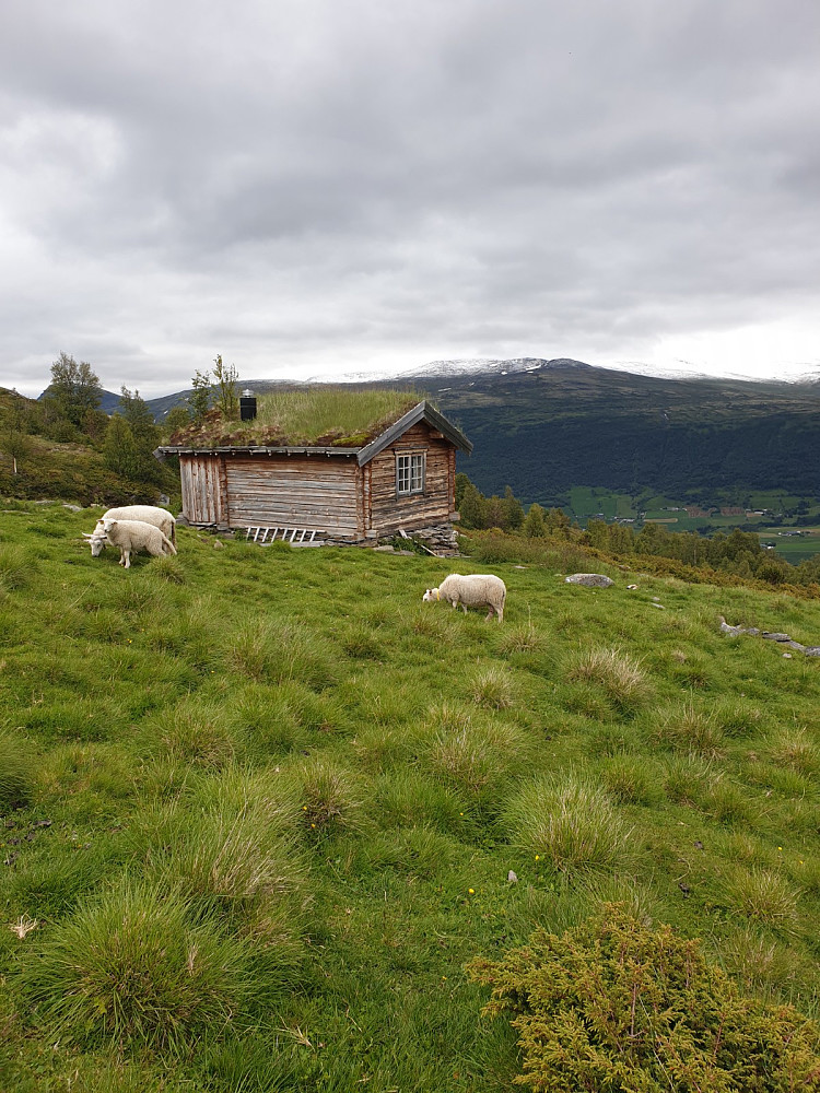Idyll på Veslengsætra