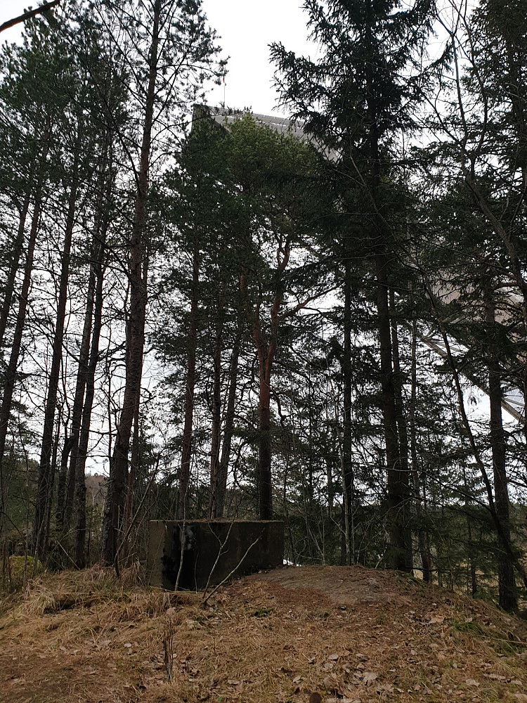 Holmenåsen