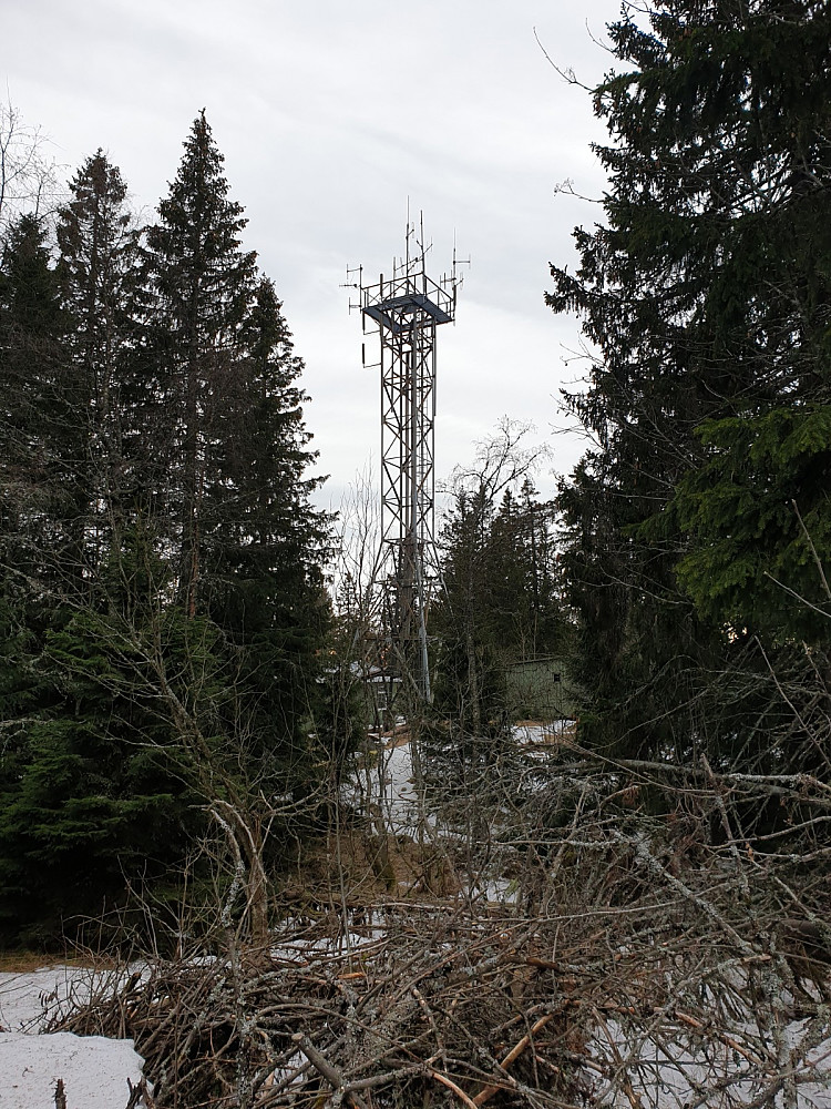 Voksenåsen