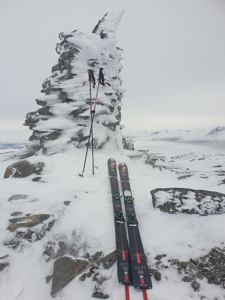 Fole til vind på Maifjellet