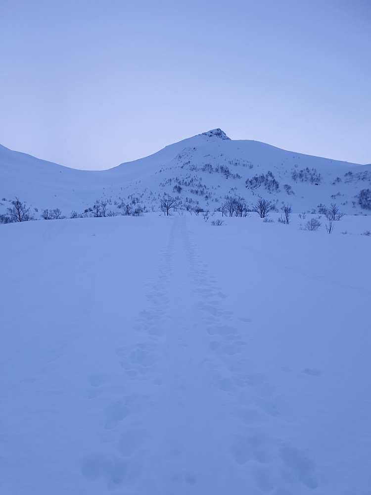 Snøtind frister
