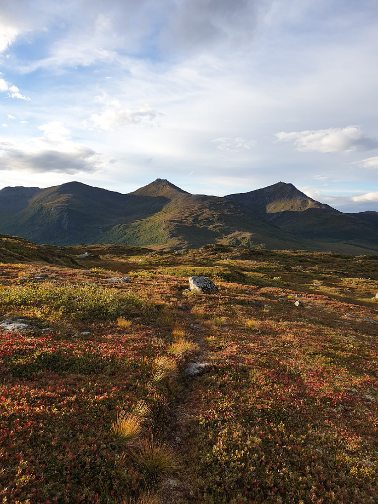 Bjørnen og Luten