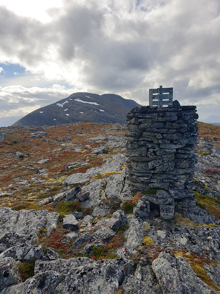 Blåhammaren