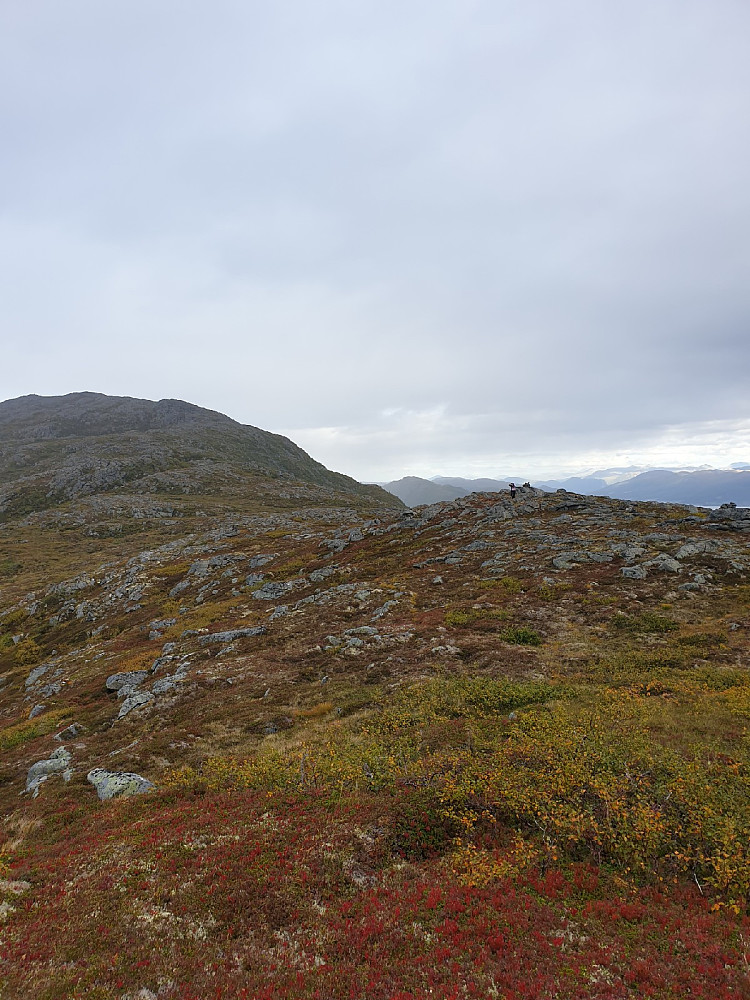 Buviknakken