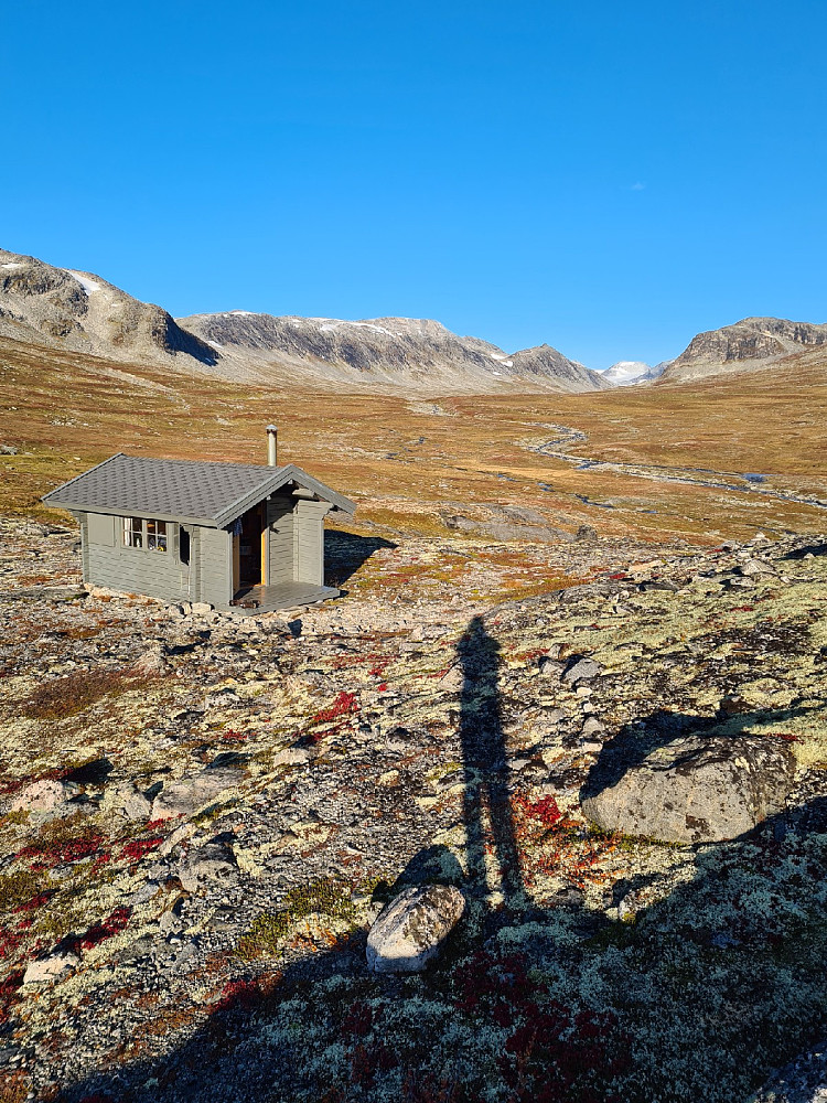 Kaffihaugen