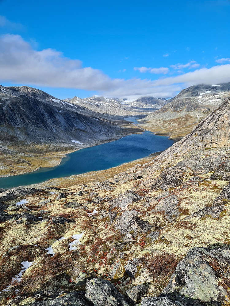 Innover Stordalen